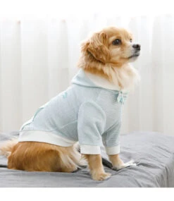 Puppia Puppia Izar Hooded T-shirt Mint -Hondenmode puppia izar hooded t shirt mint 2