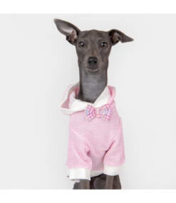 Puppia Puppia Izar Hooded T-shirt Pink -Hondenmode puppia izar hooded t shirt pink 2