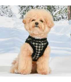 Puppia Puppia Jace Vest Harness Model B Black -Hondenmode puppia jace vest harness model b black 5