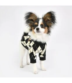 Puppia Puppia Jaden Jacket Harness Black -Hondenmode puppia jaden jacket harness black 4