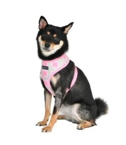 Puppia Puppia Jaylen Harness Model A Pink -Hondenmode puppia jaylen harness model a pink 8