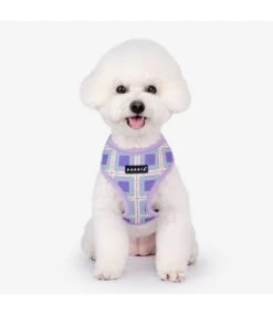 Puppia Puppia Jaylen Harness Model A Violet -Hondenmode puppia jaylen harness model a violet 6