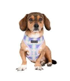 Puppia Puppia Jaylen Harness Model A Violet -Hondenmode puppia jaylen harness model a violet 7