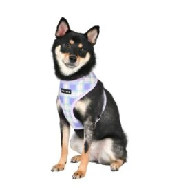 Puppia Puppia Jaylen Harness Model A Violet -Hondenmode puppia jaylen harness model a violet 8