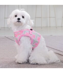 Puppia Puppia Jaylen Vest Harness Model B Pink 18 Puppia Puppia Jaylen Vest Harness Model B Pink -Hondenmode puppia jaylen vest harness model b pink 6