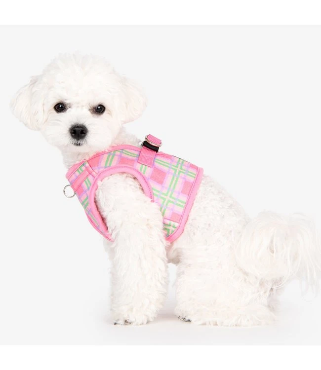 Puppia Puppia Jaylen Vest Harness Model B Pink 10 Puppia Puppia Jaylen Vest Harness Model B Pink - Afbeelding 8