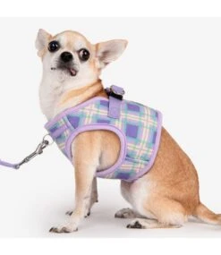 Puppia Puppia Jaylen Vest Harness Model B Violet -Hondenmode puppia jaylen vest harness model b violet 6