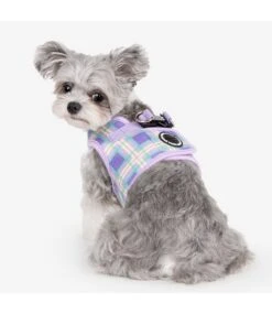 Puppia Puppia Jaylen Vest Harness Model B Violet -Hondenmode puppia jaylen vest harness model b violet 7