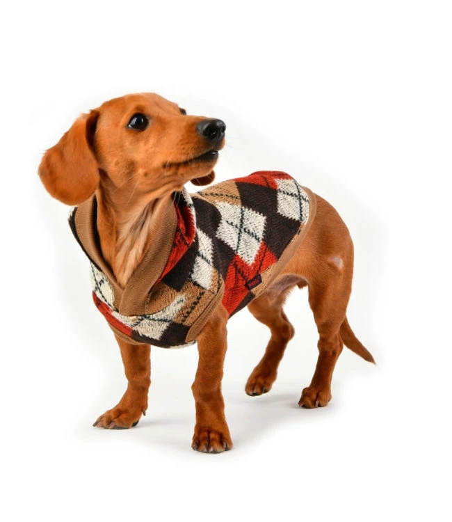 Puppia Puppia Jolly Sweater Hooded T-Shirt Beige 6 Puppia Puppia Jolly Sweater Hooded T-Shirt Beige - Afbeelding 4