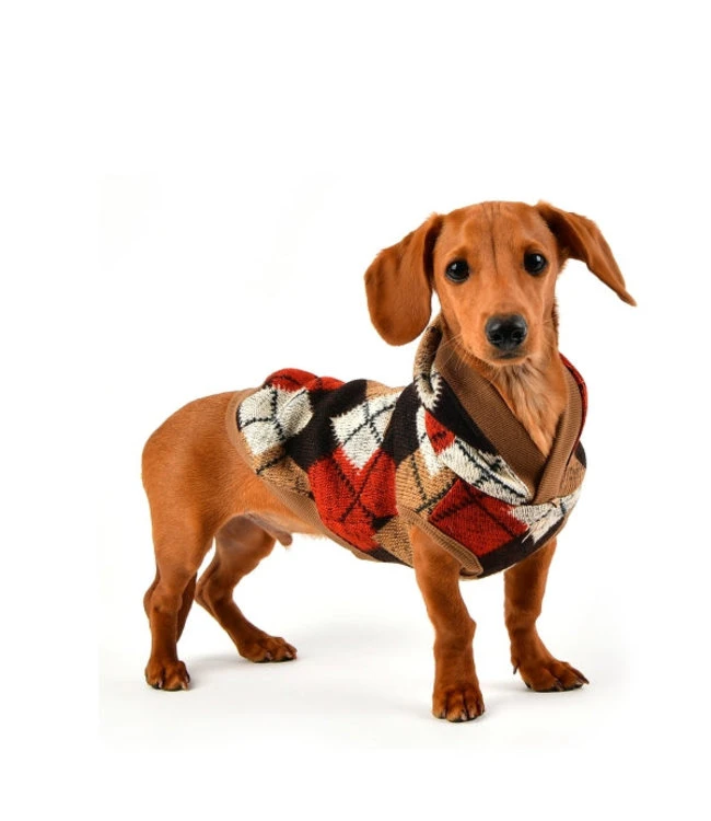 Puppia Puppia Jolly Sweater Hooded T-Shirt Beige 7 Puppia Puppia Jolly Sweater Hooded T-Shirt Beige - Afbeelding 5