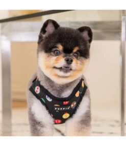 Puppia Puppia Lady Beetle Harness Model A Black -Hondenmode puppia lady beetle harness model a black 2