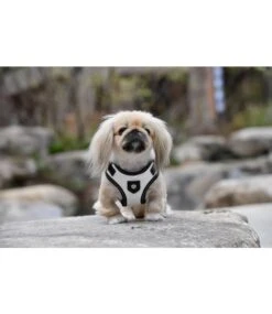 Puppia Puppia Legacy Harness Model C White 9 Puppia Puppia Legacy Harness Model C White -Hondenmode puppia legacy harness model c white 3