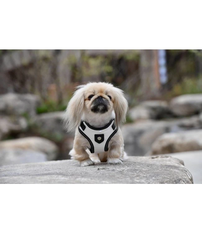 Puppia Puppia Legacy Harness Model C White 6 Puppia Puppia Legacy Harness Model C White - Afbeelding 4