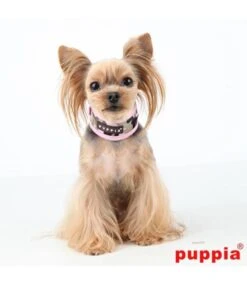 Puppia Puppia Legend Halsband Pink Camo -Hondenmode puppia legend halsband pink camo 2