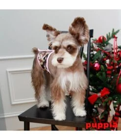 Puppia Puppia Legend Manner Band Pink Camo 7 Puppia Puppia Legend Manner Band Pink Camo -Hondenmode puppia legend manner band pink camo 2