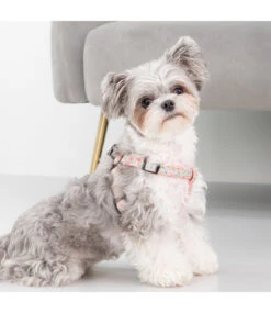 Puppia Puppia Lilac Harness X Plus Indian Pink -Hondenmode puppia lilac harness x plus indian pink 2