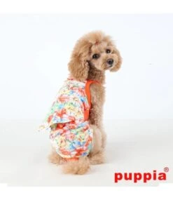 Puppia Puppia Loopsheidbroekje Spring Garden Orange -Hondenmode puppia loopsheidbroekje spring garden orange 3