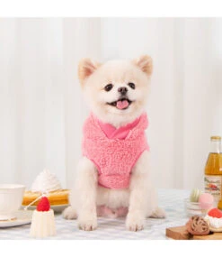 Puppia Puppia Lottie Hoodie Indian Pink -Hondenmode puppia lottie hoodie indian pink 2