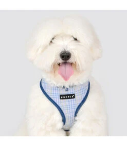 Puppia Puppia Luke Harness Model A Blue -Hondenmode puppia luke harness model a blue 2