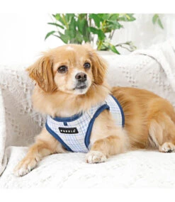 Puppia Puppia Luke Vest Harness Model B Blue -Hondenmode puppia luke vest harness model b blue 2