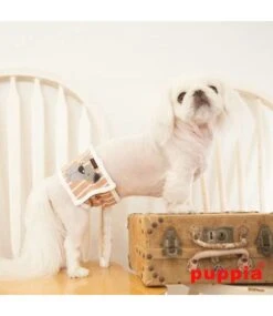 Puppia Puppia Manner Band Boomer Beige (alleen Large) -Hondenmode puppia manner band boomer beige alleen large 3