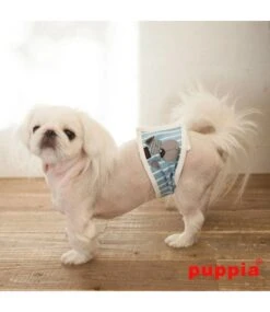 Puppia Puppia Manner Band Boomer Blue -Hondenmode puppia manner band boomer blue 3