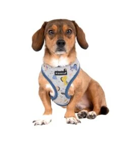 Puppia Puppia Minmi Harness Model A Blue -Hondenmode puppia minmi harness model a blue 6