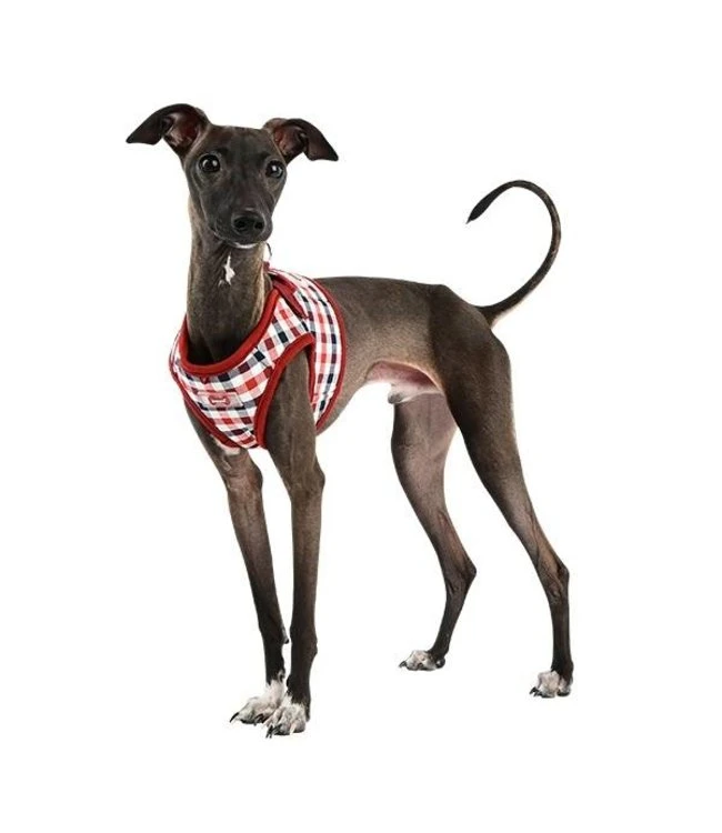 Puppia Puppia Neil Harness Wine Model B ( ALLEEN XLARGE) 7 Puppia Puppia Neil Harness Wine Model B ( ALLEEN XLARGE) - Afbeelding 5