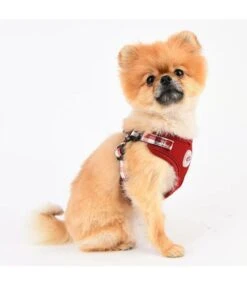 Puppia Puppia Neil Harness Wine Model C 11 Puppia Puppia Neil Harness Wine Model C -Hondenmode puppia neil harness wine model c 4