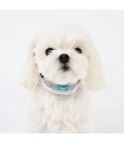 Puppia Puppia Oceane Halsband Grey -Hondenmode puppia oceane halsband grey 3