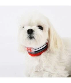Puppia Puppia Oceane Halsband Red 8 Puppia Puppia Oceane Halsband Red -Hondenmode puppia oceane halsband red 2