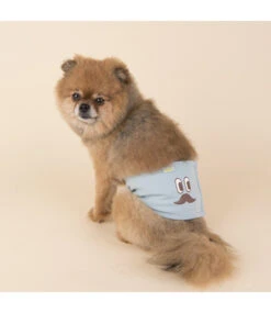 Puppia Puppia Olchi Mustache Manner Blue -Hondenmode puppia olchi mustache manner blue 1