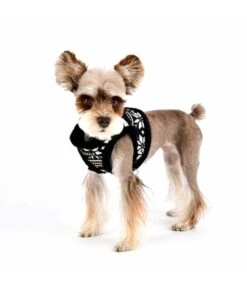 Puppia Puppia Prancer Harness Model B Black -Hondenmode puppia prancer harness model b black 5