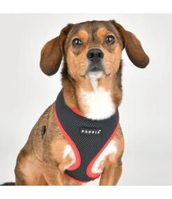 Puppia Puppia Soft Harness II Model A Grey -Hondenmode puppia soft harness ii model a grey 5