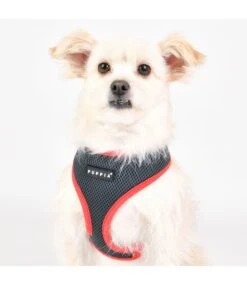 Puppia Puppia Soft Harness II Model A Grey -Hondenmode puppia soft harness ii model a grey 6