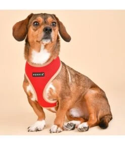 Puppia Puppia Soft Harness II Model A Red -Hondenmode puppia soft harness ii model a red 5