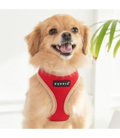Puppia Puppia Soft Harness II Model A Red -Hondenmode puppia soft harness ii model a red 6