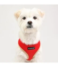 Puppia Puppia Soft Harness II Model A Red -Hondenmode puppia soft harness ii model a red 7