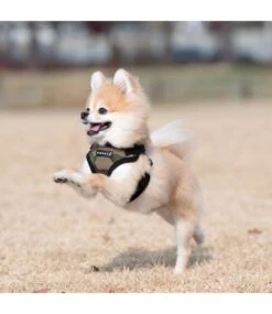 Puppia Puppia Soft Harness Model C Camo 9 Puppia Puppia Soft Harness Model C Camo -Hondenmode puppia soft harness model c camo 3