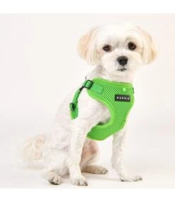 Puppia Puppia Soft Harness Model C Green 12 Puppia Puppia Soft Harness Model C Green -Hondenmode puppia soft harness model c green 4