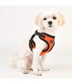 Puppia Puppia Soft Harness Model C Orange -Hondenmode puppia soft harness model c orange 4