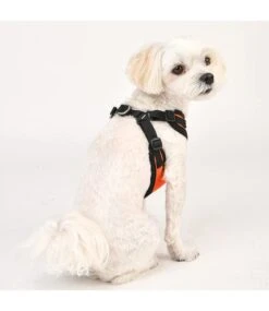 Puppia Puppia Soft Harness Model C Orange -Hondenmode puppia soft harness model c orange 5