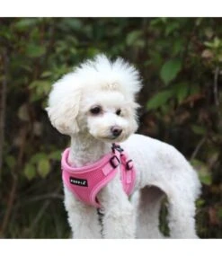 Puppia Puppia Soft Harness Model C Pink -Hondenmode puppia soft harness model c pink 3