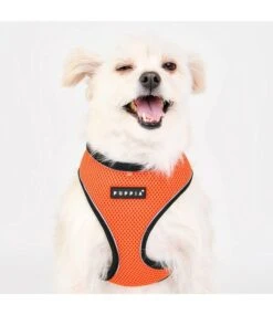 Puppia Puppia Soft Harness PRO Model A Orange 11 Puppia Puppia Soft Harness PRO Model A Orange -Hondenmode puppia soft harness pro model a orange 4