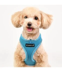 Puppia Puppia Soft Harness PRO Model A Skyblue -Hondenmode puppia soft harness pro model a skyblue 3