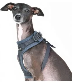 Puppia Puppia Soft Harness Ritefit Grey -Hondenmode puppia soft harness ritefit grey 7