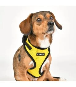 Puppia Puppia Soft Harness Ritefit Yellow -Hondenmode puppia soft harness ritefit yellow 7