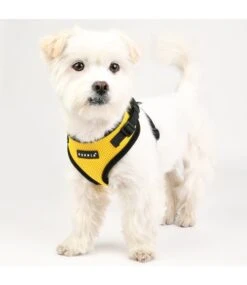 Puppia Puppia Soft Harness Ritefit Yellow -Hondenmode puppia soft harness ritefit yellow 8