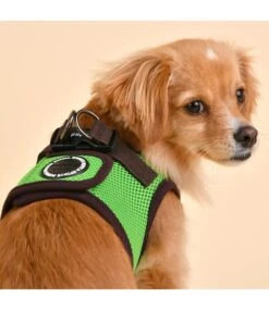 Puppia Puppia Soft Vest Harness II Model B Green -Hondenmode puppia soft vest harness ii model b green 6
