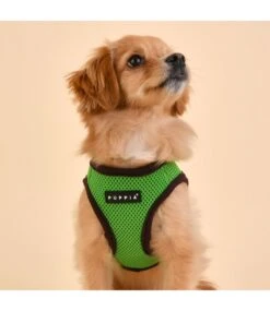 Puppia Puppia Soft Vest Harness II Model B Green -Hondenmode puppia soft vest harness ii model b green 7